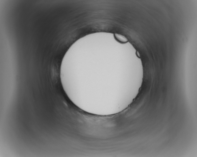 X0000111490040200908041151
