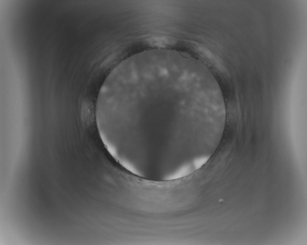 X0000111490043200908041151