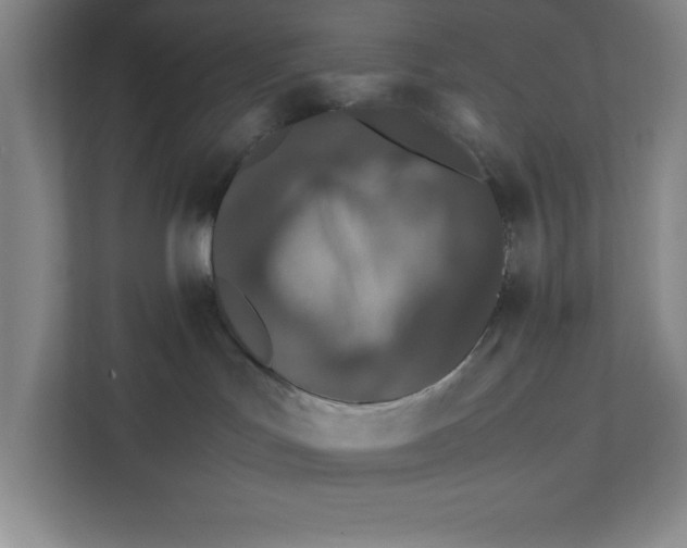 X0000111490047200908041151