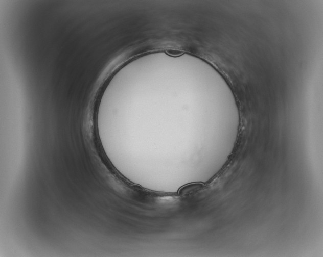 X0000111490053200908041150