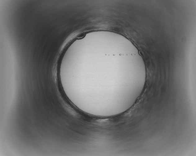 X0000111490054200908041150