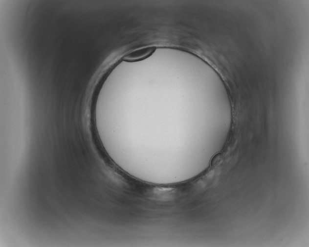 X0000111490055200908041150