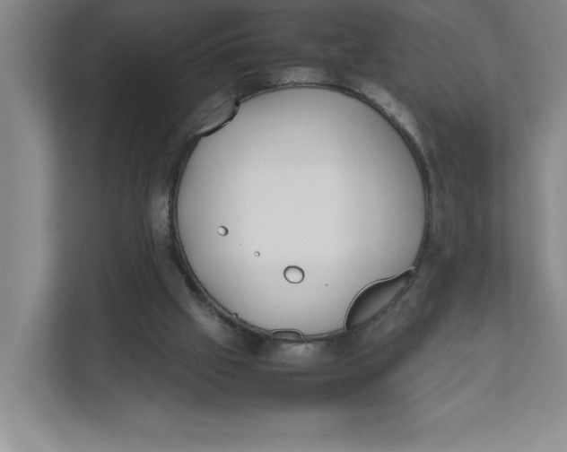 X0000111490057200908041150
