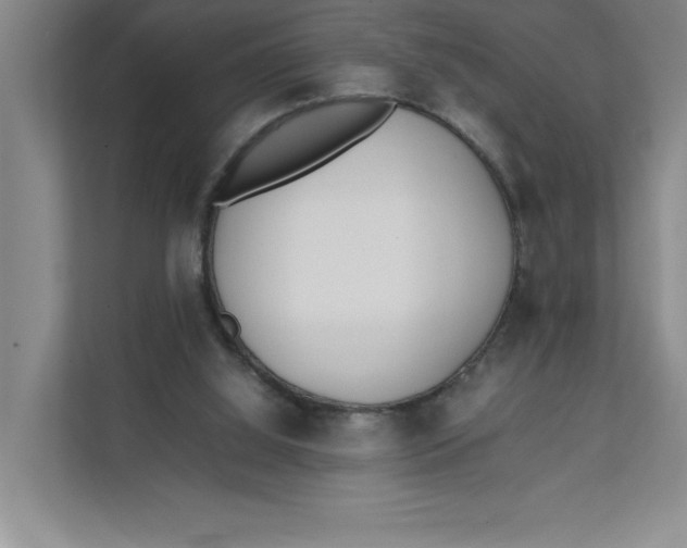X0000111490060200908041150