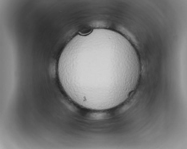 X0000111490065200908041150