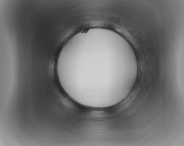 X0000111490066200908041150