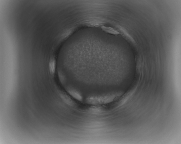 X0000111490076200908041150