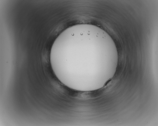 X0000111490078200908041150