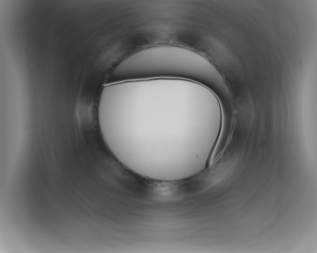 X0000111490088200908041151