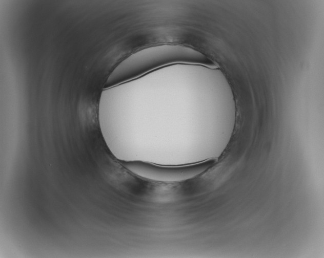 X0000111490096200908041151
