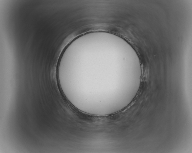 X0000111490099200908041150