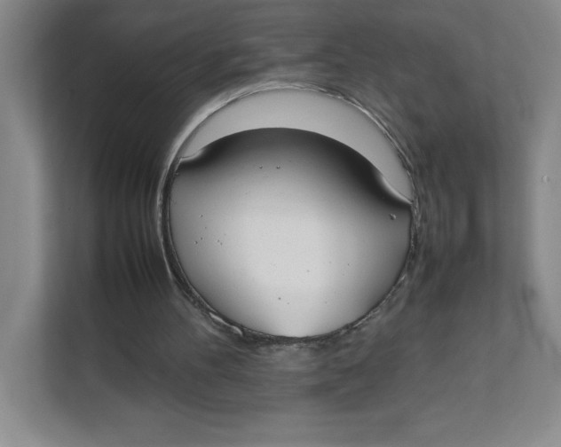 X0000111490100200908041150