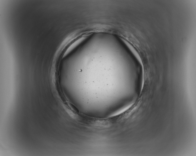 X0000111490101200908041150