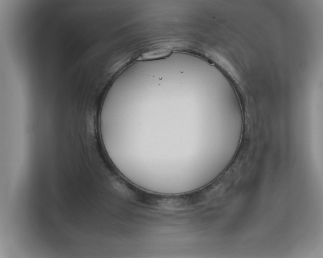 X0000111490105200908041150