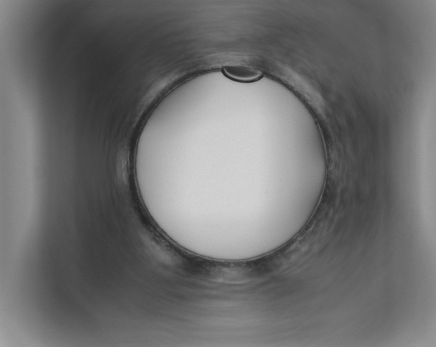 X0000111490107200908041150