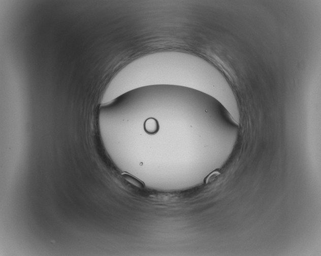X0000111490117200908041150