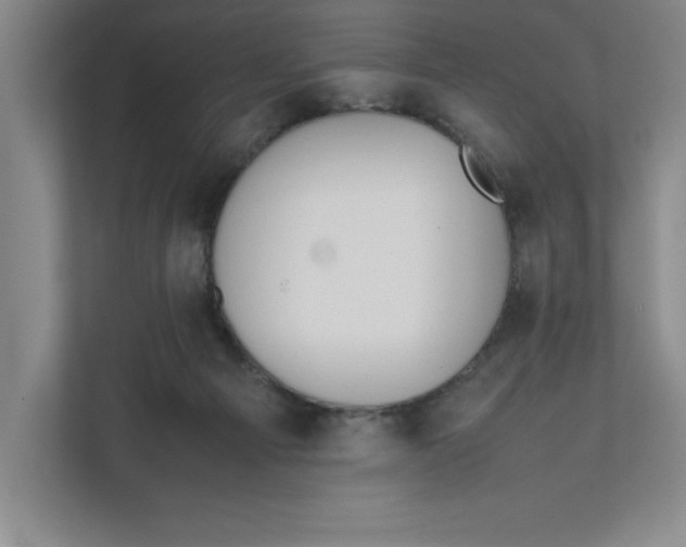 X0000111490121200908041150