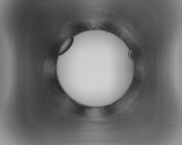 X0000111490129200908041150
