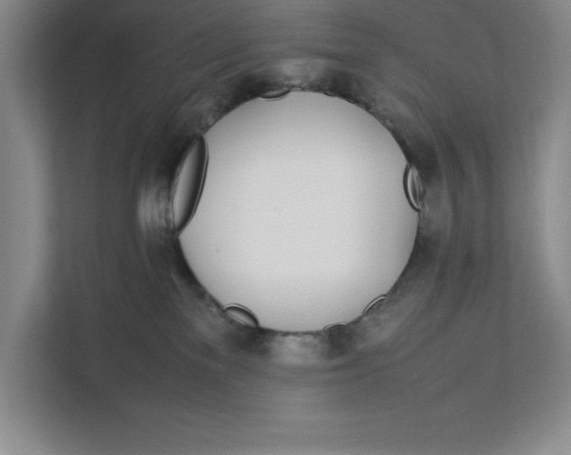 X0000111490137200908041150