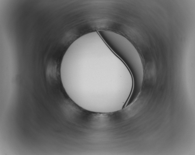 X0000111490140200908041150