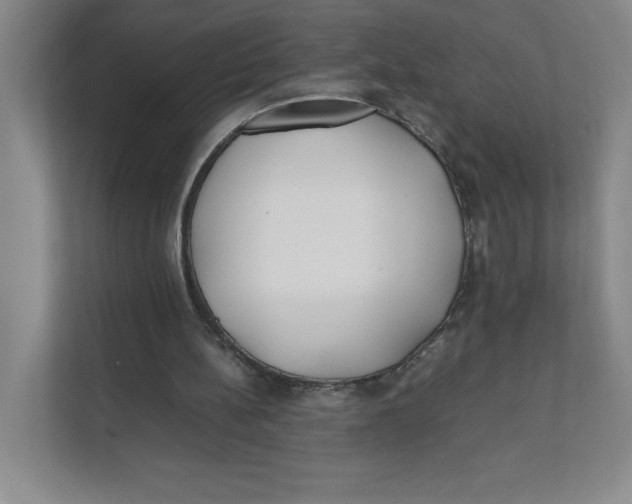X0000111490148200908041149