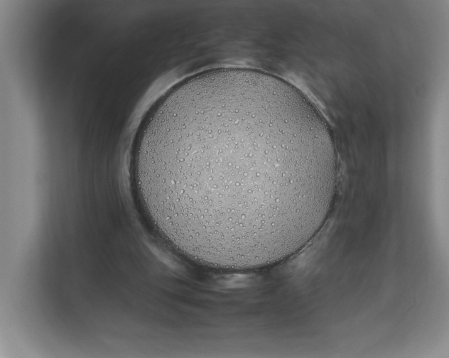 X0000111490151200908041149