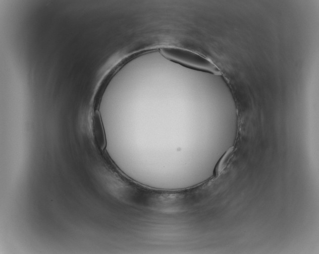 X0000111490152200908041149