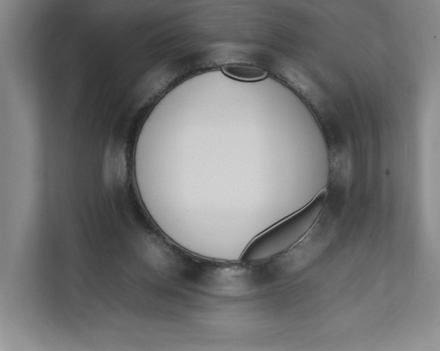 X0000111490158200908041149