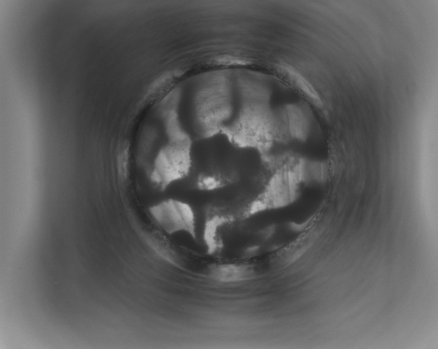 X0000111490163200908041149