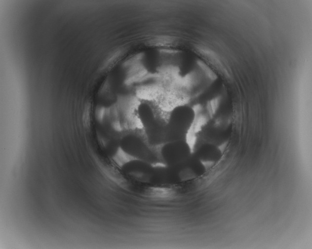 X0000111490167200908041149