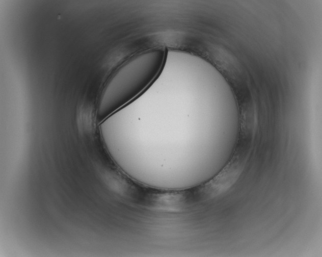 X0000111490168200908041149