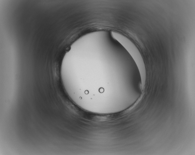 X0000111490170200908041149