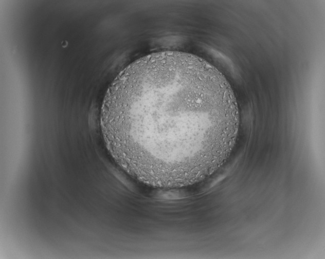 X0000111490181200908041149