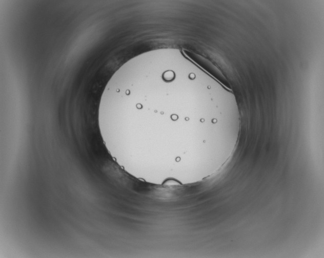 X0000111490190200908041149