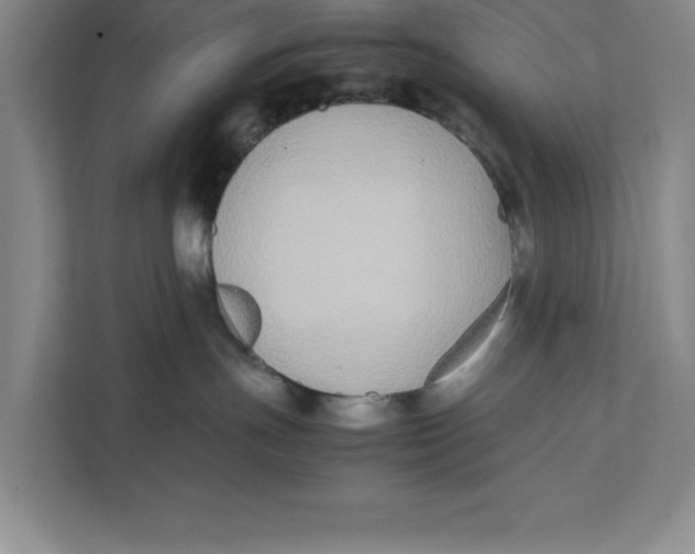 X0000111490191200908041149