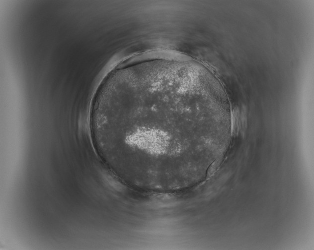 X0000111490195200908041149