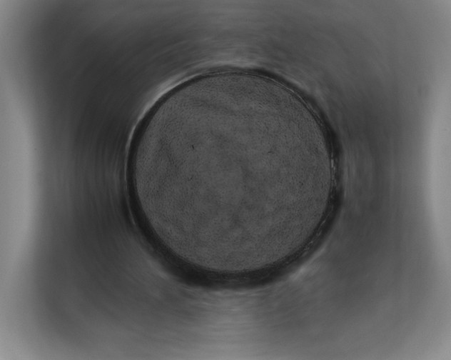 X0000111490196200908041149