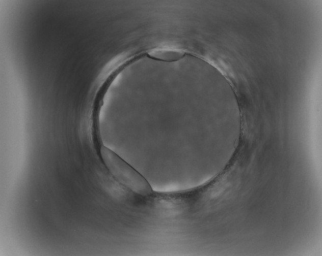 X0000111490199200908041149