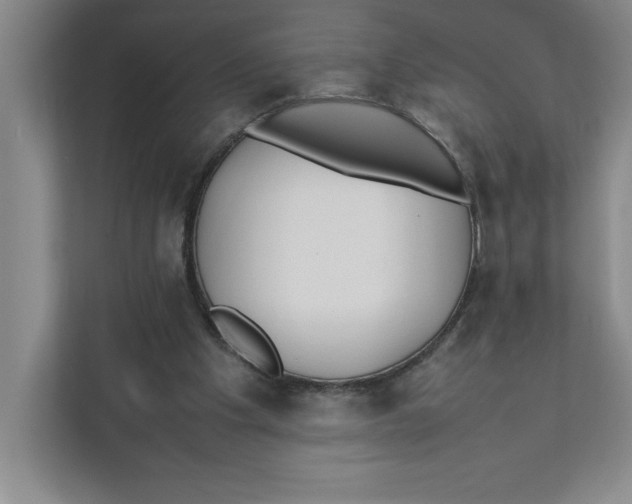 X0000111490201200908041149