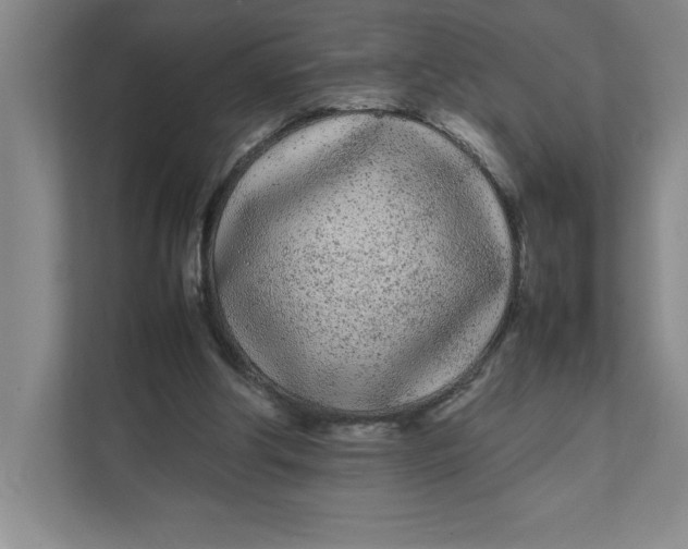 X0000111490202200908041149
