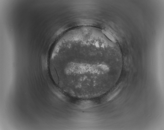 X0000111490203200908041149