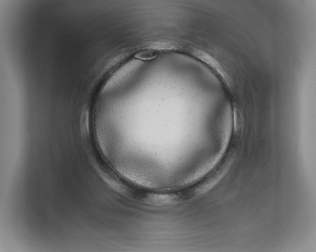 X0000111490205200908041149
