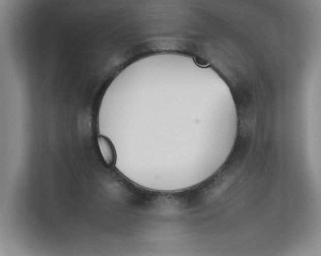 X0000111490207200908041149