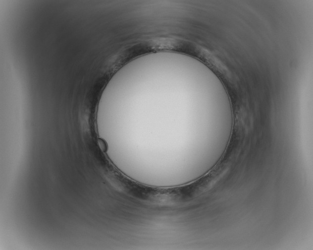 X0000111490209200908041149
