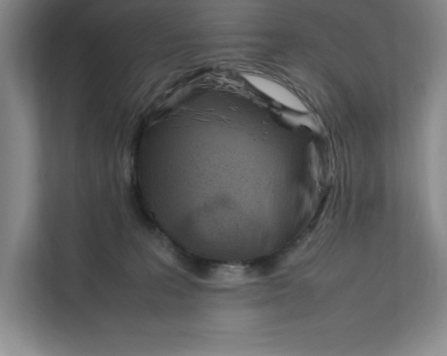 X0000111490227200908041148