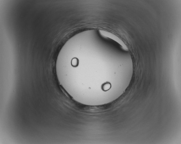 X0000111490229200908041148