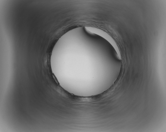 X0000111490233200908041148