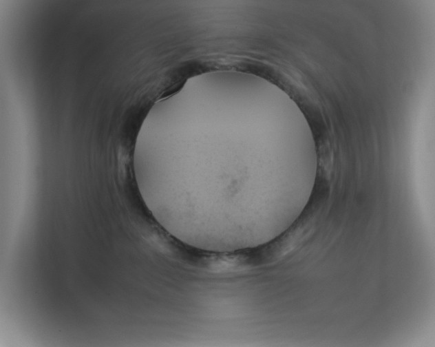 X0000111490235200908041148