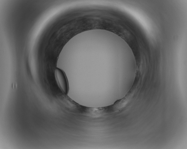 X0000111490239200908041148