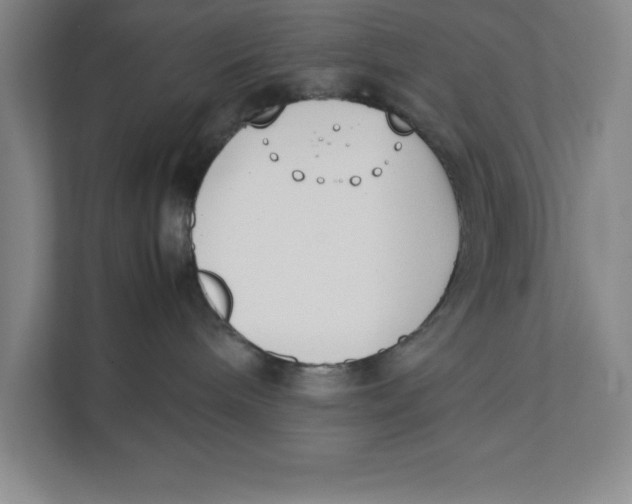X0000111490240200908041148